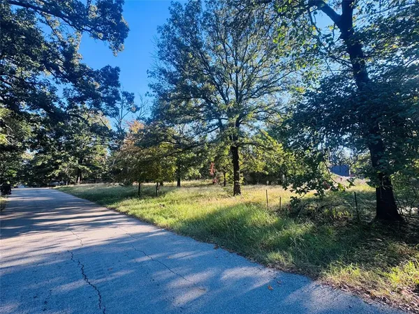 a view of a yard with large trees