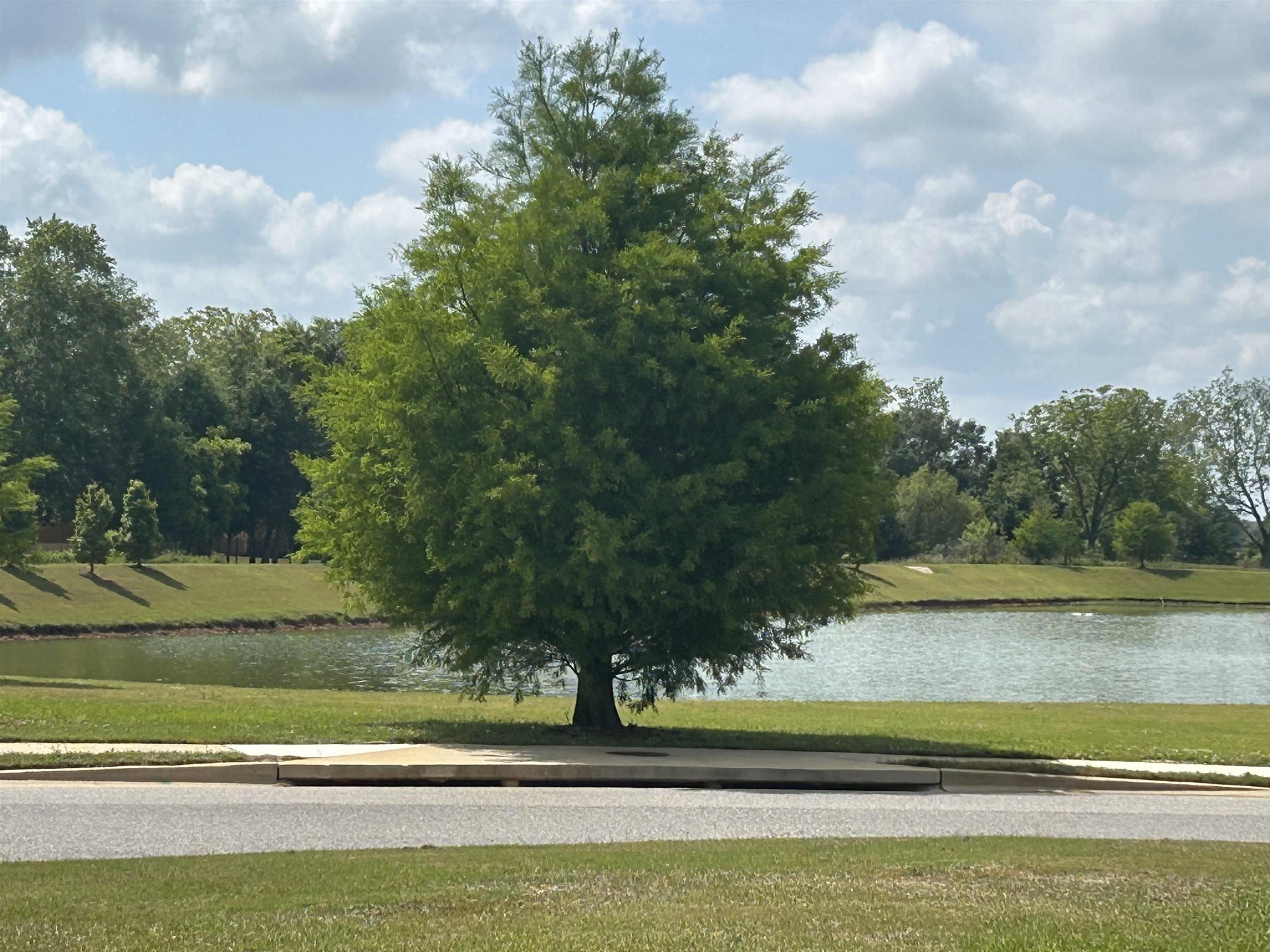 9601 Volterra Avenue Daphne, AL 36526 - Photo 33 of 33