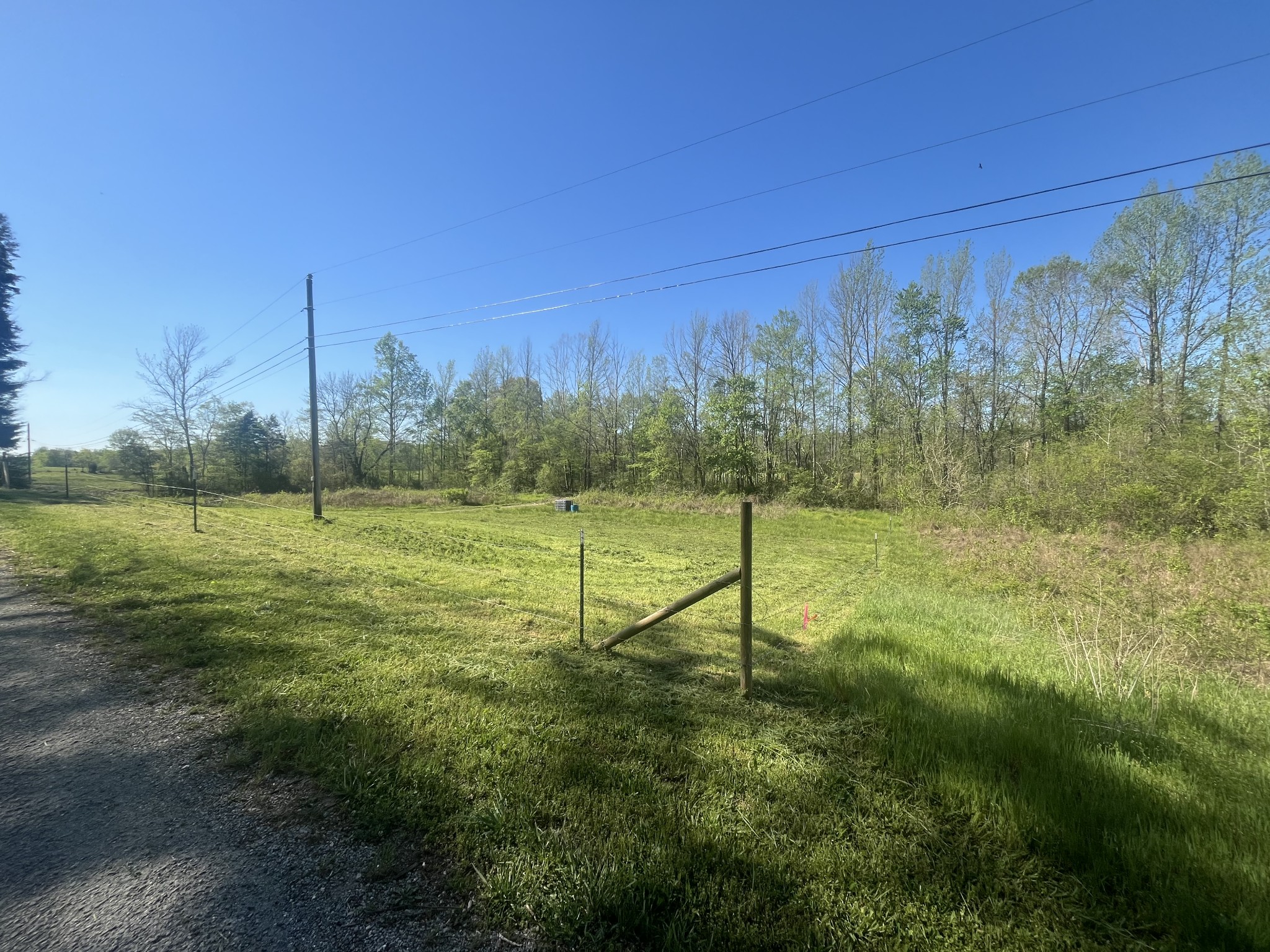 2131 Old Weatherford Creek Road Lutts, TN 38471 - Photo 33 of 64 a view of a field with a tree