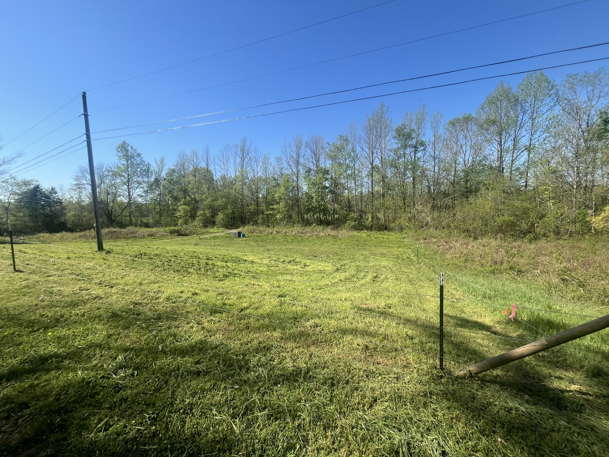 2131 Old Weatherford Creek Road Lutts, TN 38471 - Photo 34 of 64 a view of a field with an tree
