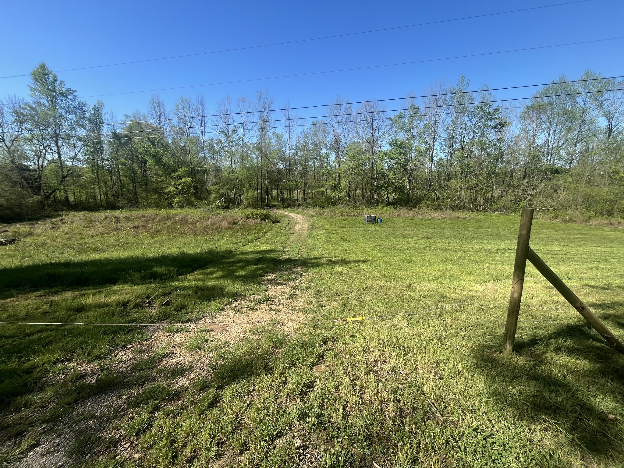 2131 Old Weatherford Creek Road Lutts, TN 38471 - Photo 36 of 64 a view of a field with a tree