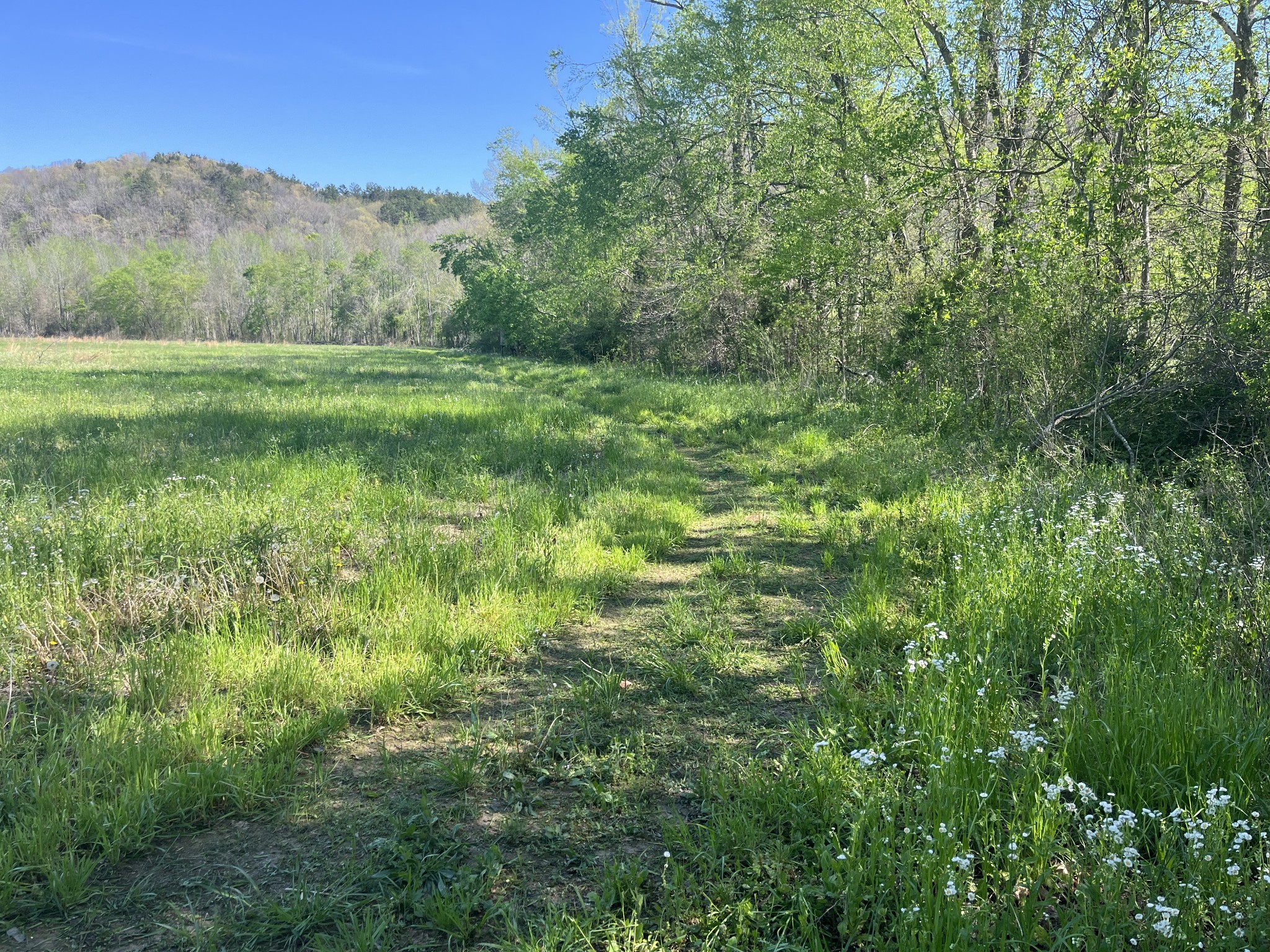 2131 Old Weatherford Creek Road Lutts, TN 38471 - Photo 45 of 64 a view of outdoor space and green field