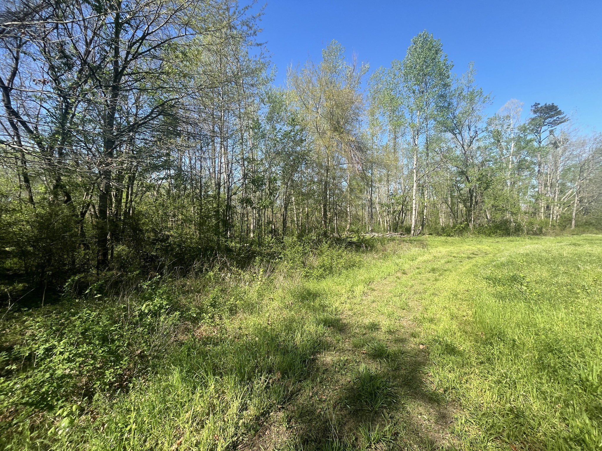 2131 Old Weatherford Creek Road Lutts, TN 38471 - Photo 48 of 64