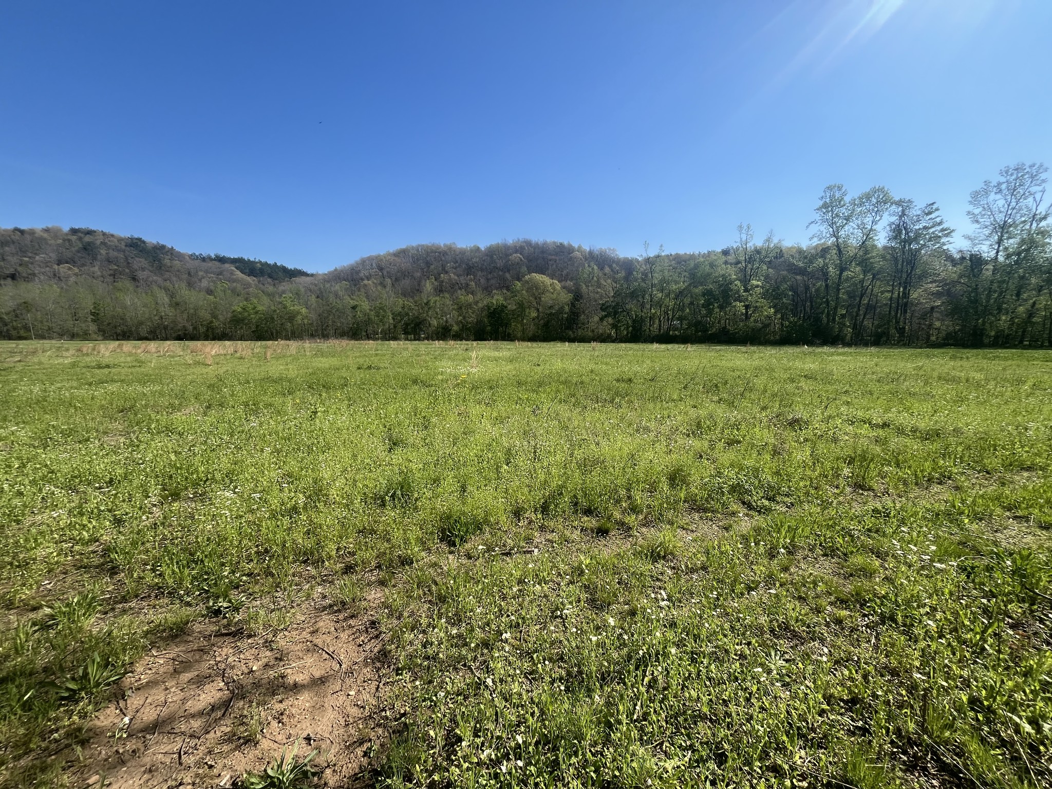 2131 Old Weatherford Creek Road Lutts, TN 38471 - Photo 50 of 64 a view of an outdoor space and a yard