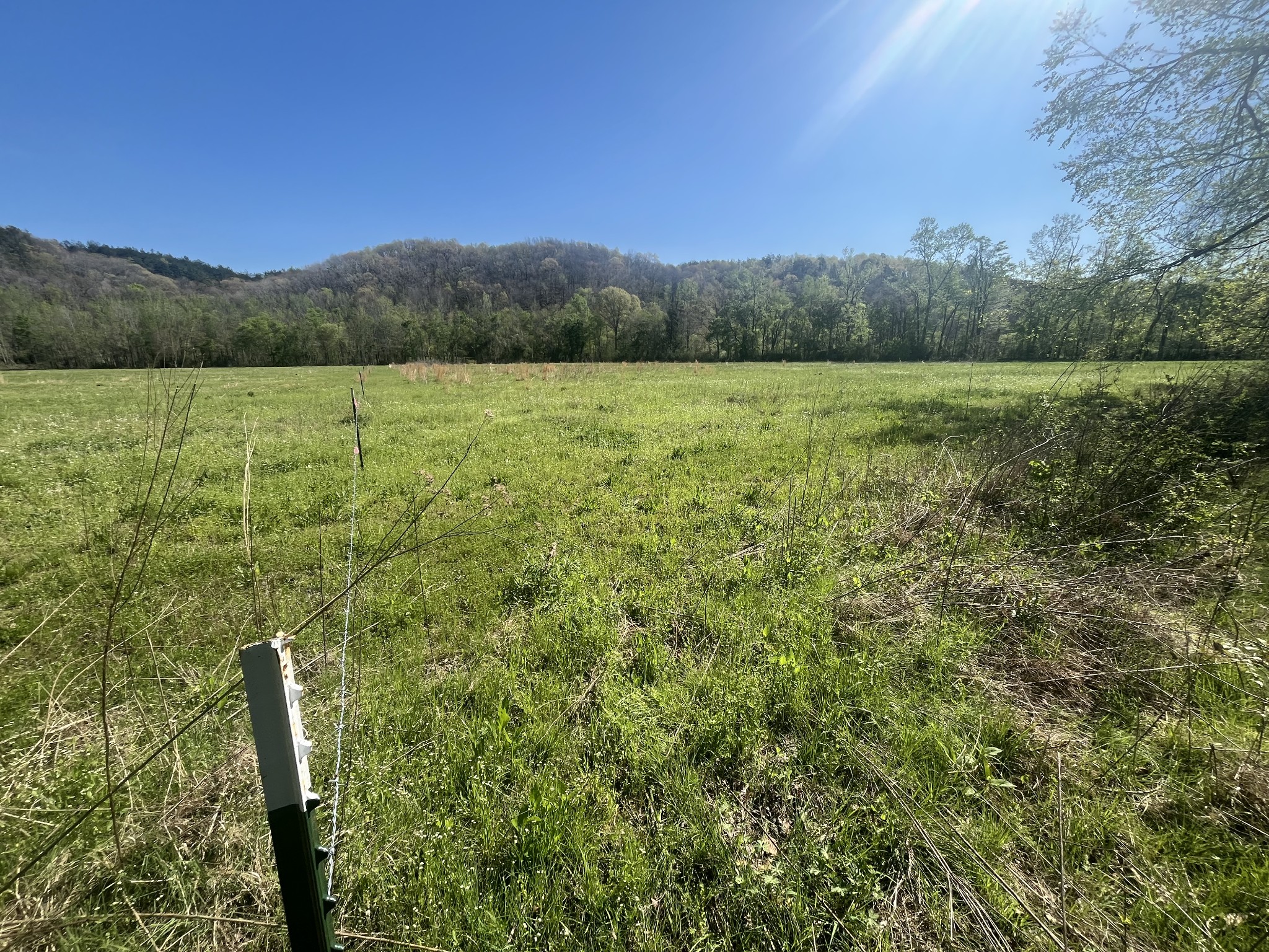 2131 Old Weatherford Creek Road Lutts, TN 38471 - Photo 51 of 64 a view of a lush green outdoor space with a lake view