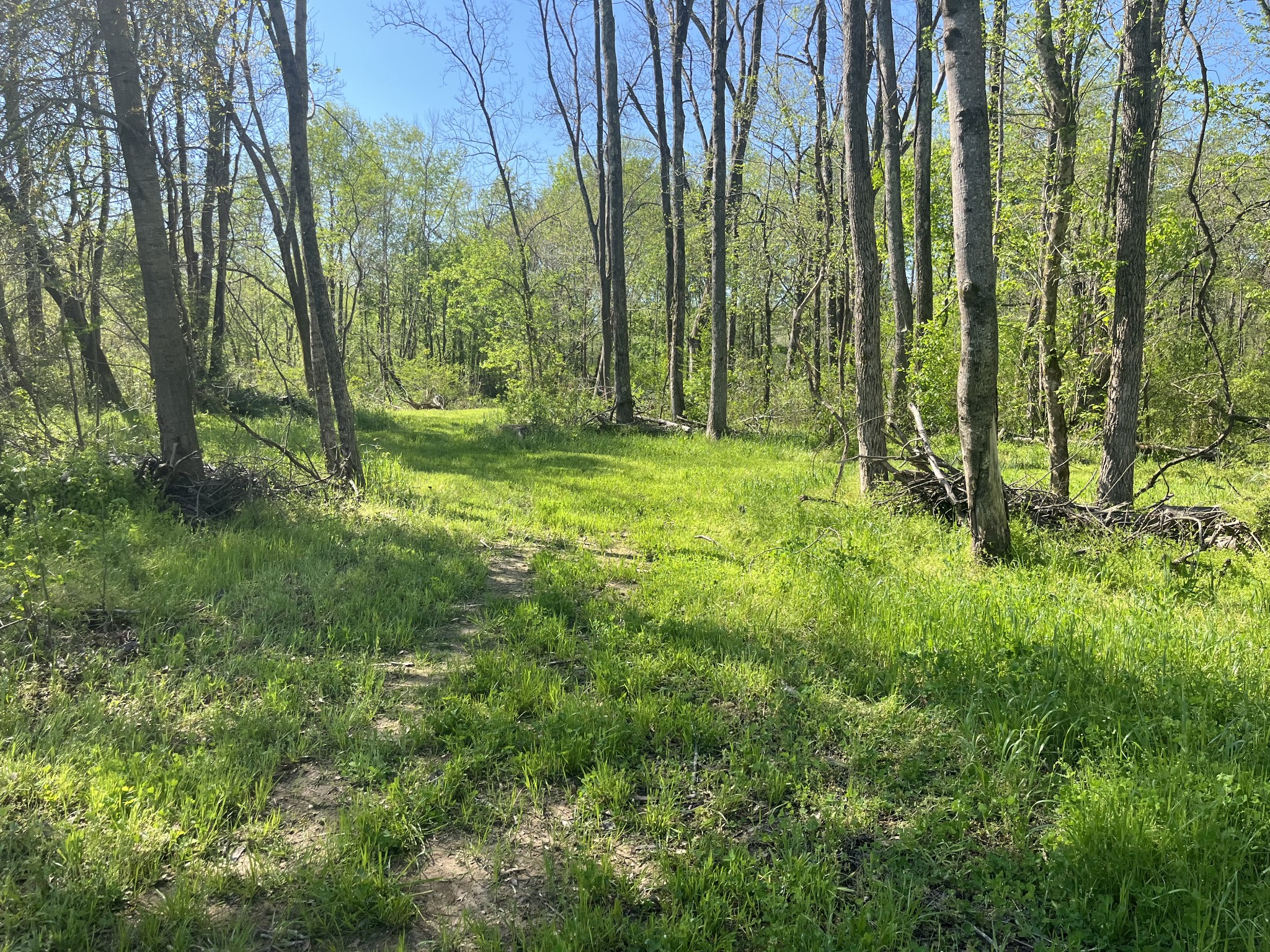 2131 Old Weatherford Creek Road Lutts, TN 38471 - Photo 52 of 64