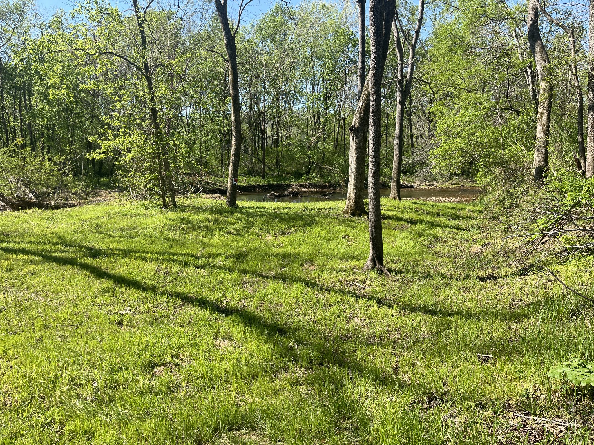 2131 Old Weatherford Creek Road Lutts, TN 38471 - Photo 53 of 64 a view of a trees with a yard