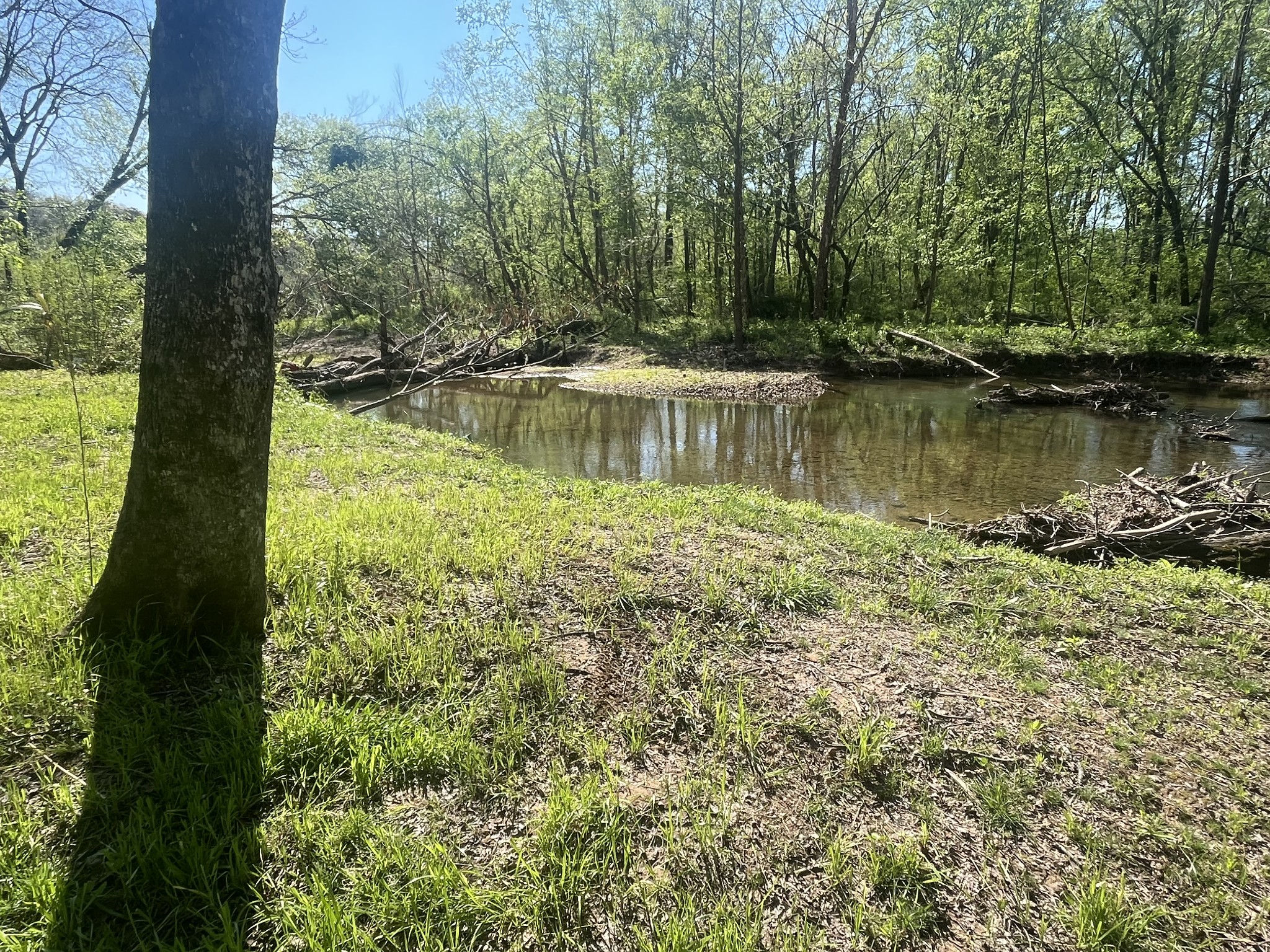 2131 Old Weatherford Creek Road Lutts, TN 38471 - Photo 57 of 64 a view of a large body of water with a tree in the background