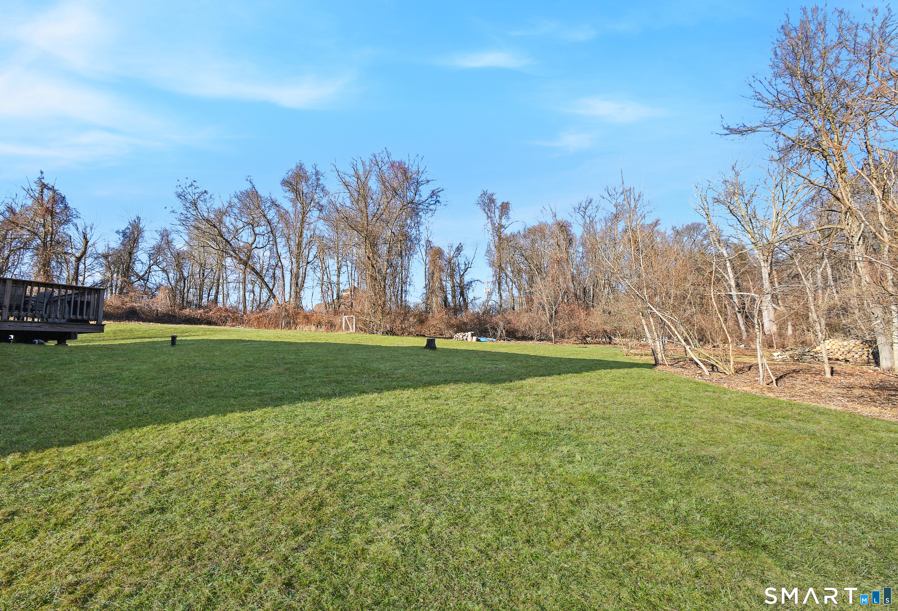 183 Root Road Coventry, CT 06238 - Photo 4 of 40 Rear/side yard