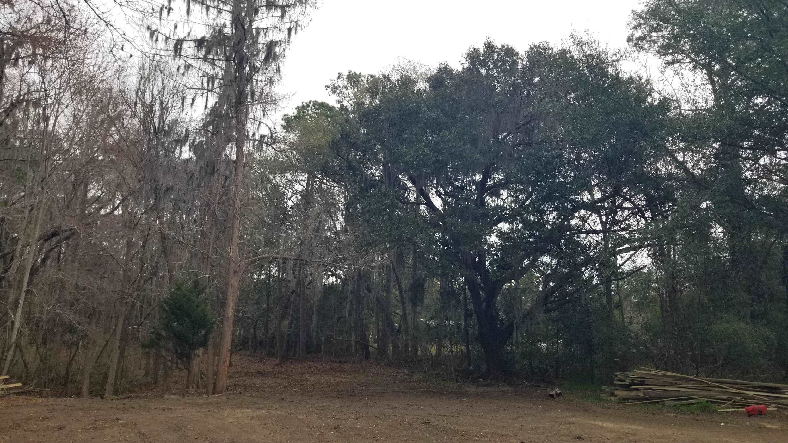 3120 Highmarket Street Georgetown, SC 29440 - Photo 2 of 9