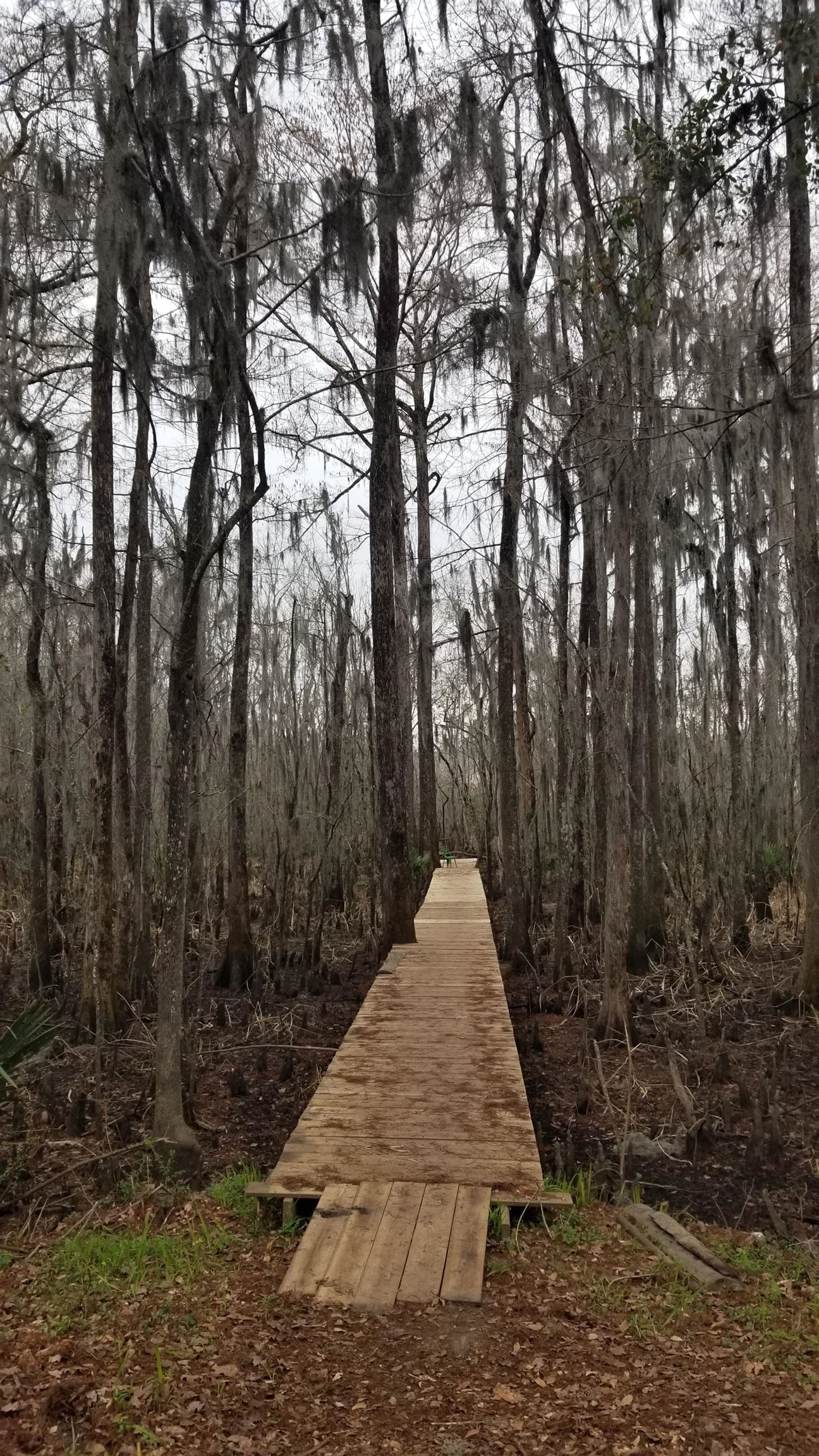 3120 Highmarket Street Georgetown, SC 29440 - Photo 5 of 9