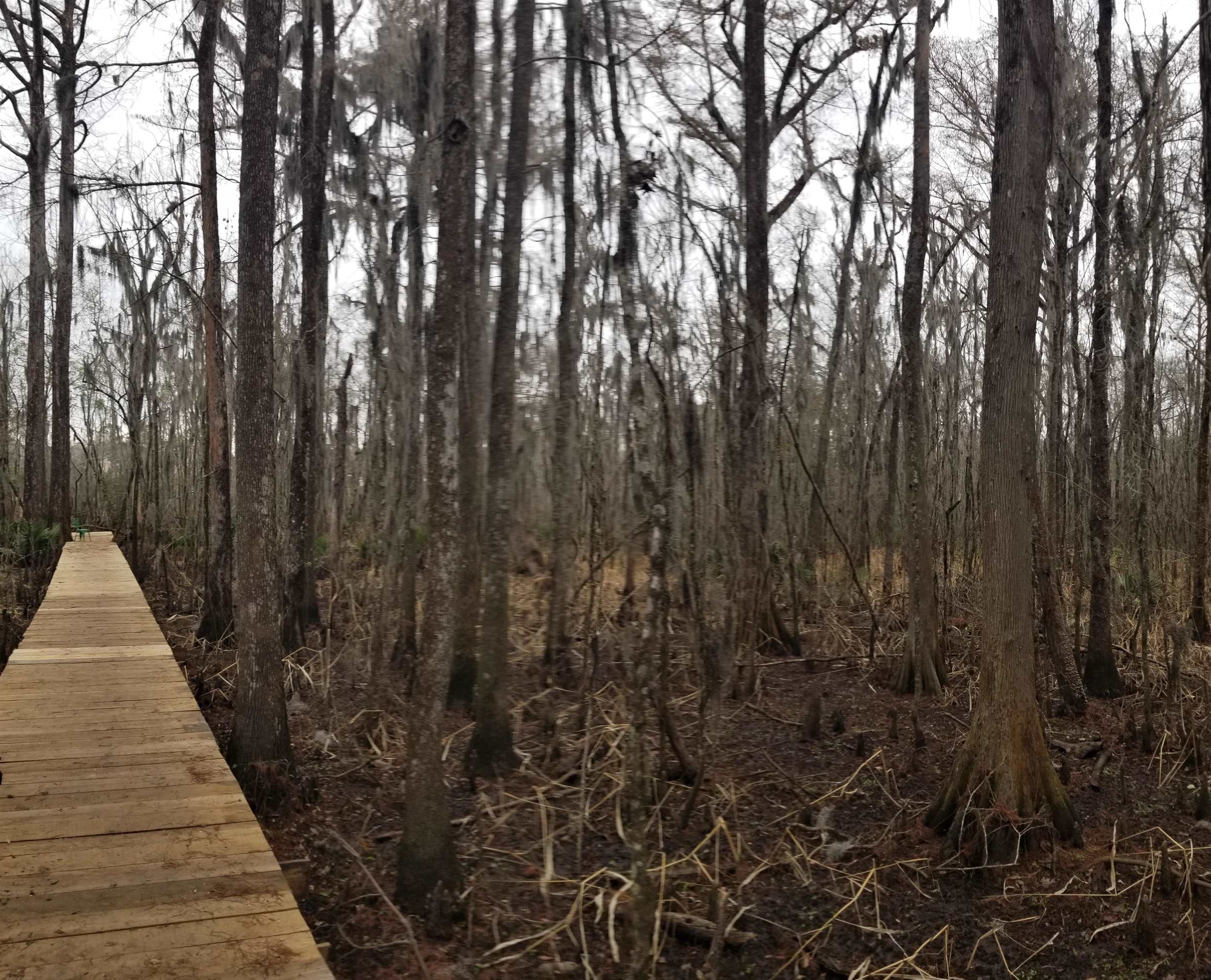 3120 Highmarket Street Georgetown, SC 29440 - Photo 6 of 9