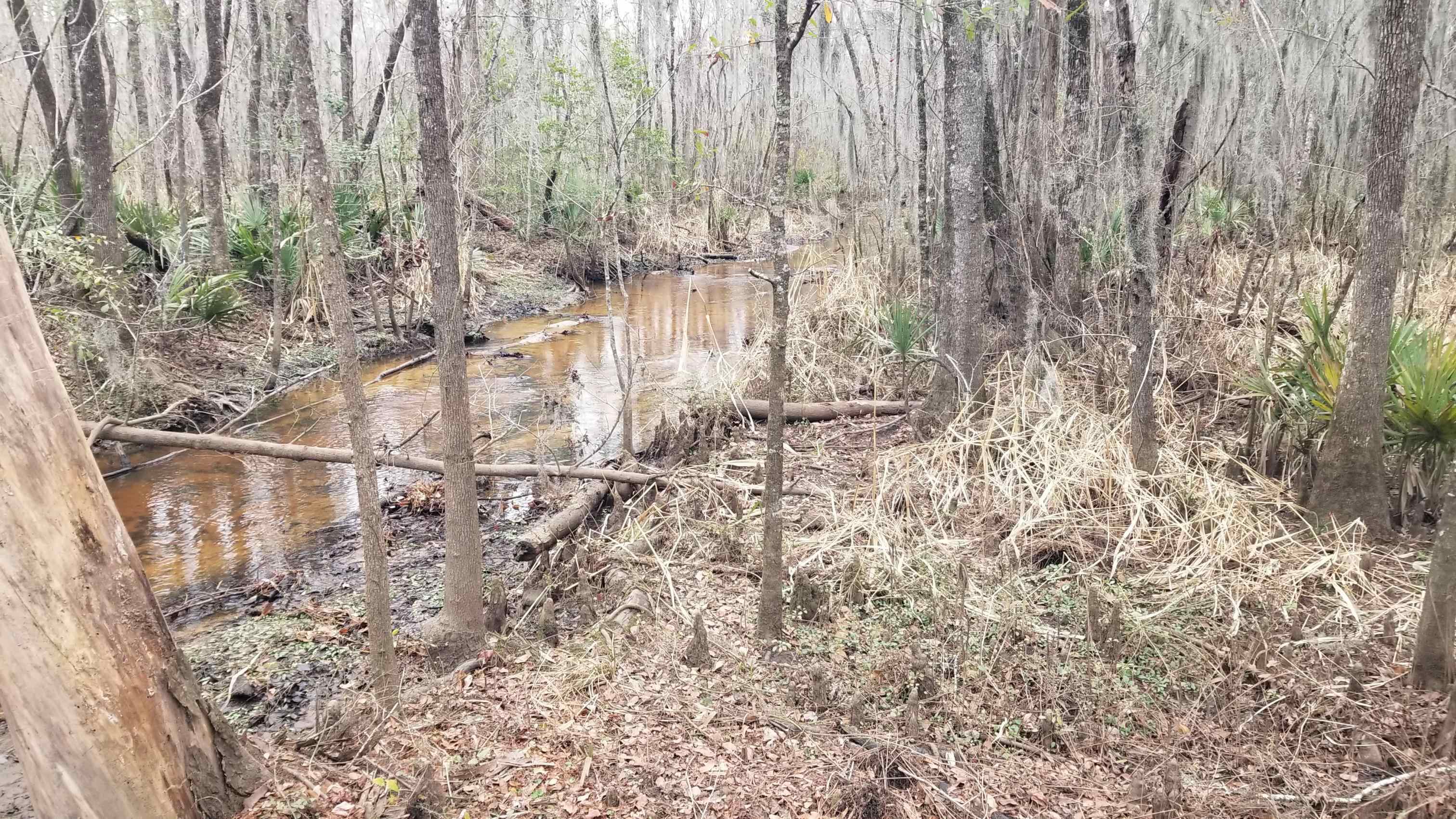 3120 Highmarket Street Georgetown, SC 29440 - Photo 7 of 9