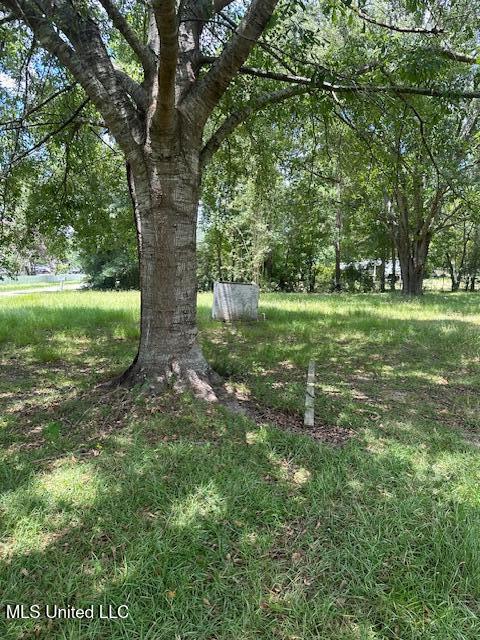 44 Jamie Road Carriere, MS 39426 - Photo 5 of 12 IMG_6298
