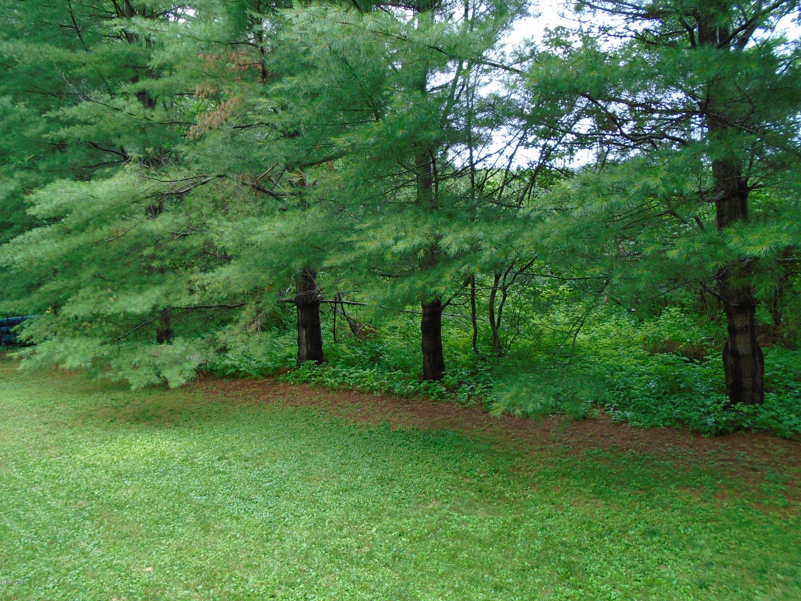 86 Peterson Road Becket, MA 01223 - Photo 36 of 52 a view of a trees with a yard