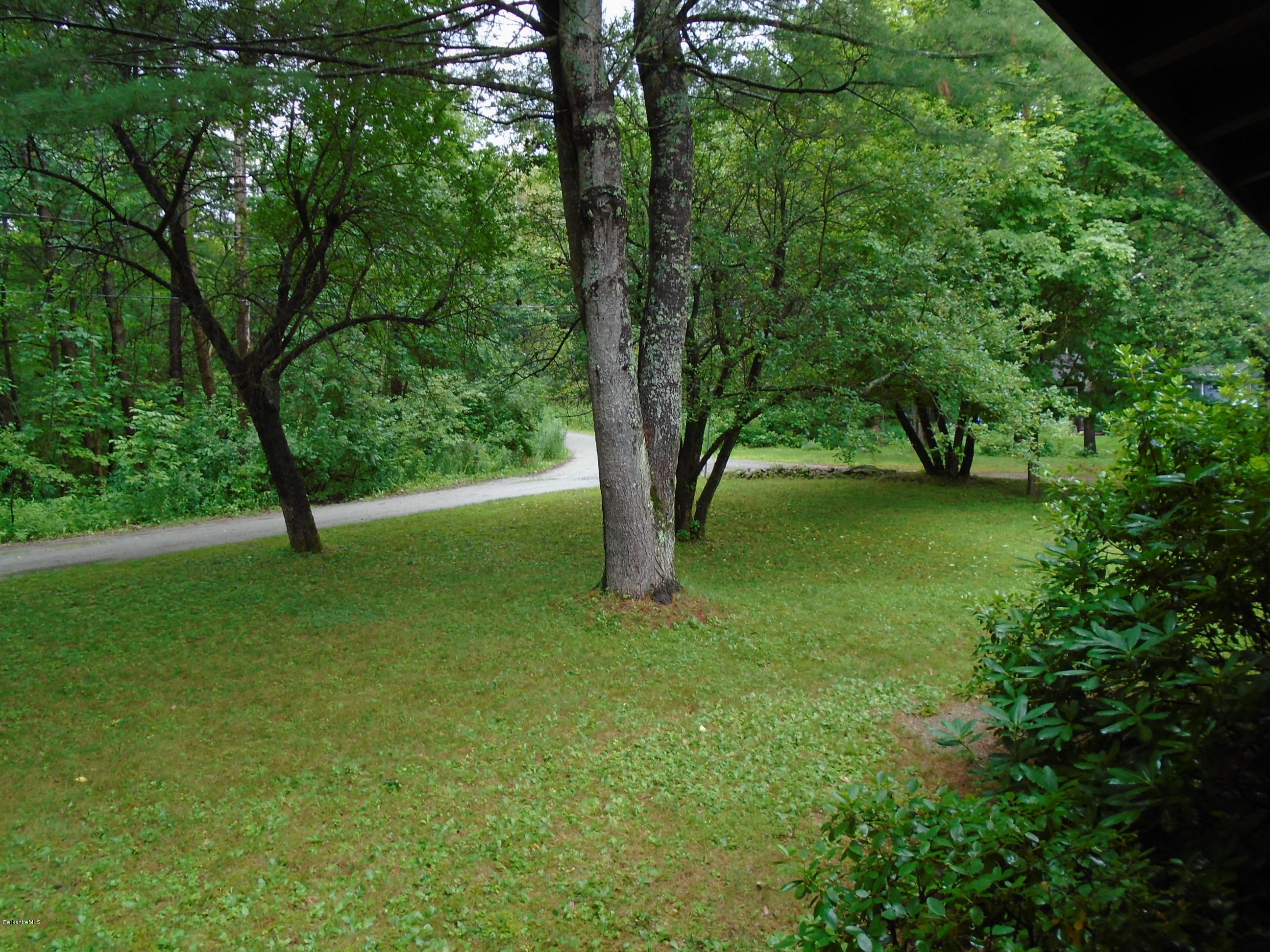86 Peterson Road Becket, MA 01223 - Photo 39 of 52 a view of a trees with a yard