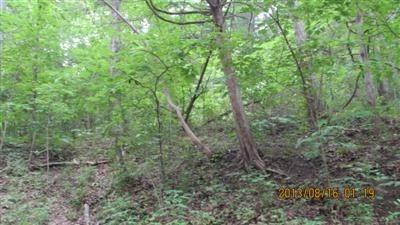 0 Lebanon Road Bagdad, KY 40003 - Photo 19 of 22 Photo 19
