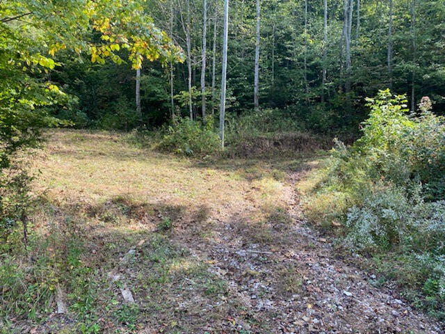 3000 Lower Licking Road Morehead, KY 40351 - Photo 1 of 3 unnamed-1