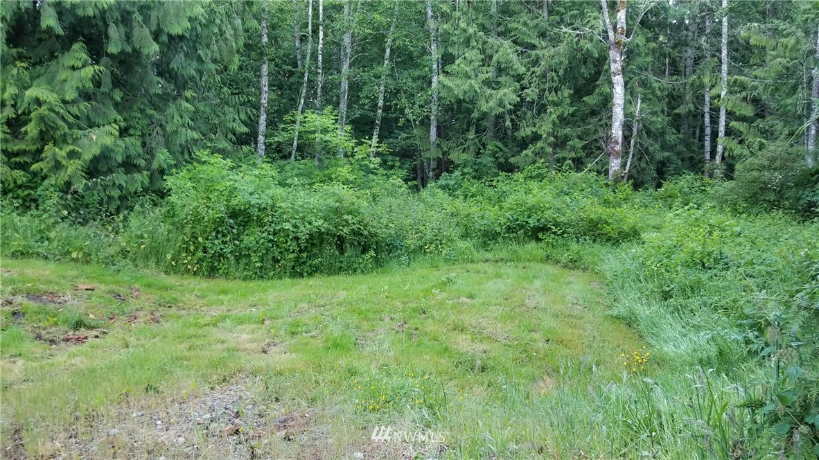 2714 Chicken Coop Road Sequim, WA 98382 - Photo 23 of 25 Gallery Image 23