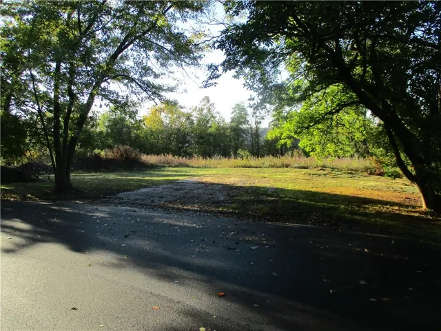 a view of a yard with plants and trees