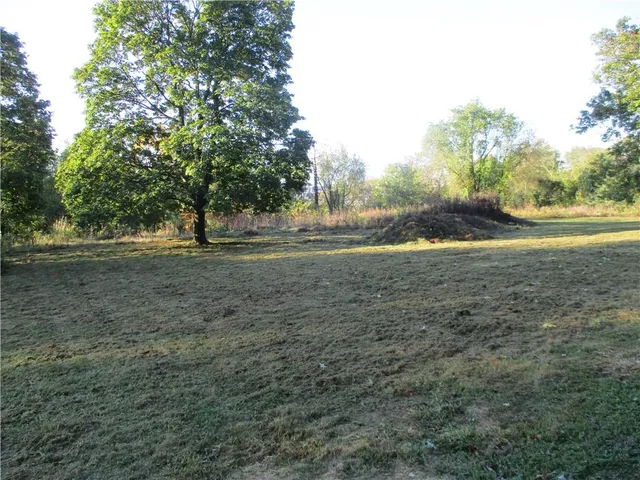 a view of a yard with large trees