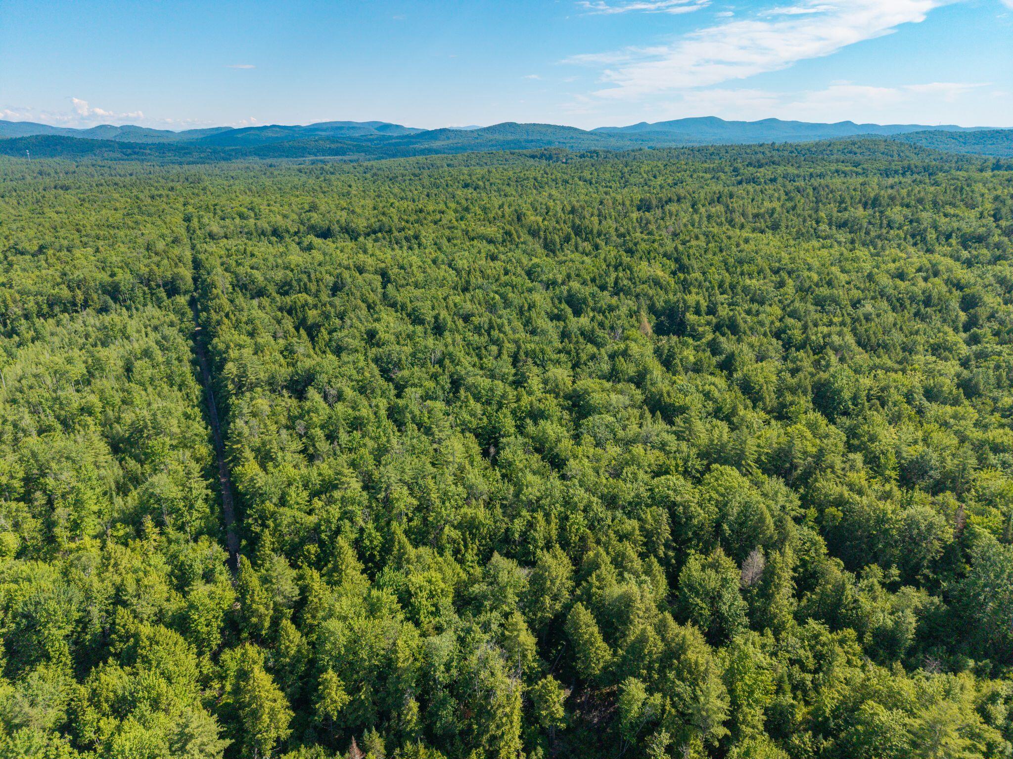 129 Hobbs Swamp Road Parsonsfield, ME 04047 - Photo 5 of 11 Hobb_Swamp_Rd_001