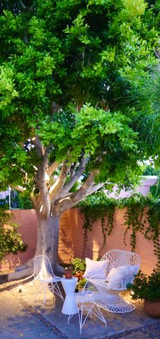 a view of a lake from a bench