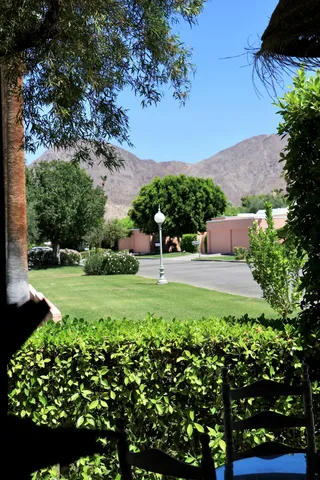 a view of a lake with a palm trees
