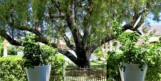 a view of a patio with dining table chairs and a yard