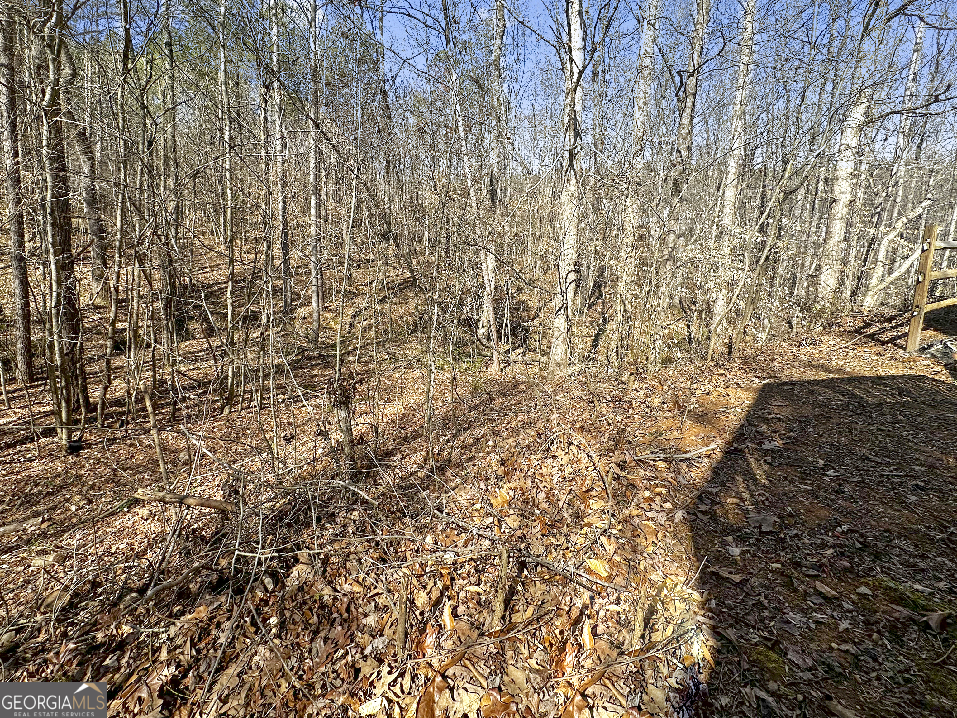 209 Wesley Mill Lane Villa Rica, GA 30180 - Photo 17 of 18