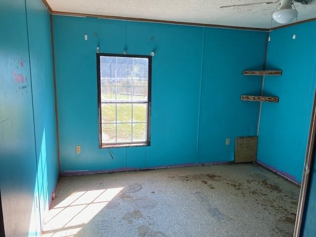 3198 Pillowville Gleason Road Gleason, TN 38229 - Photo 9 of 14 Photo 9