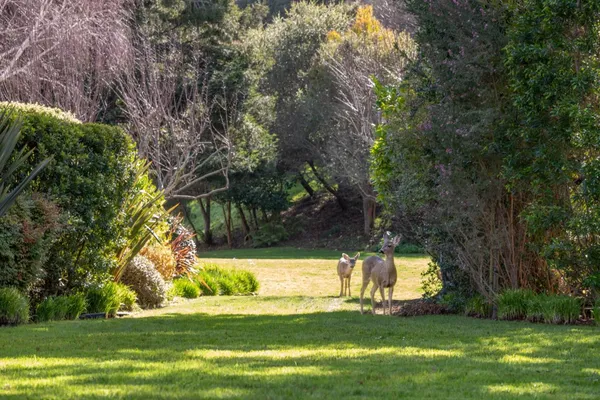 $1,750,000 | 9542 Maple Court, Carmel, CA 93923
