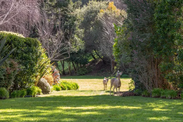 $1,875,000 | 9542 Maple Court, Carmel, CA 93923