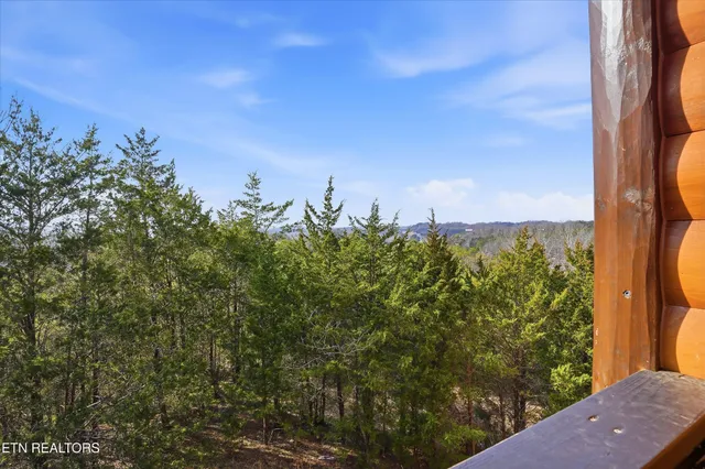 a view of a road with an ocean view