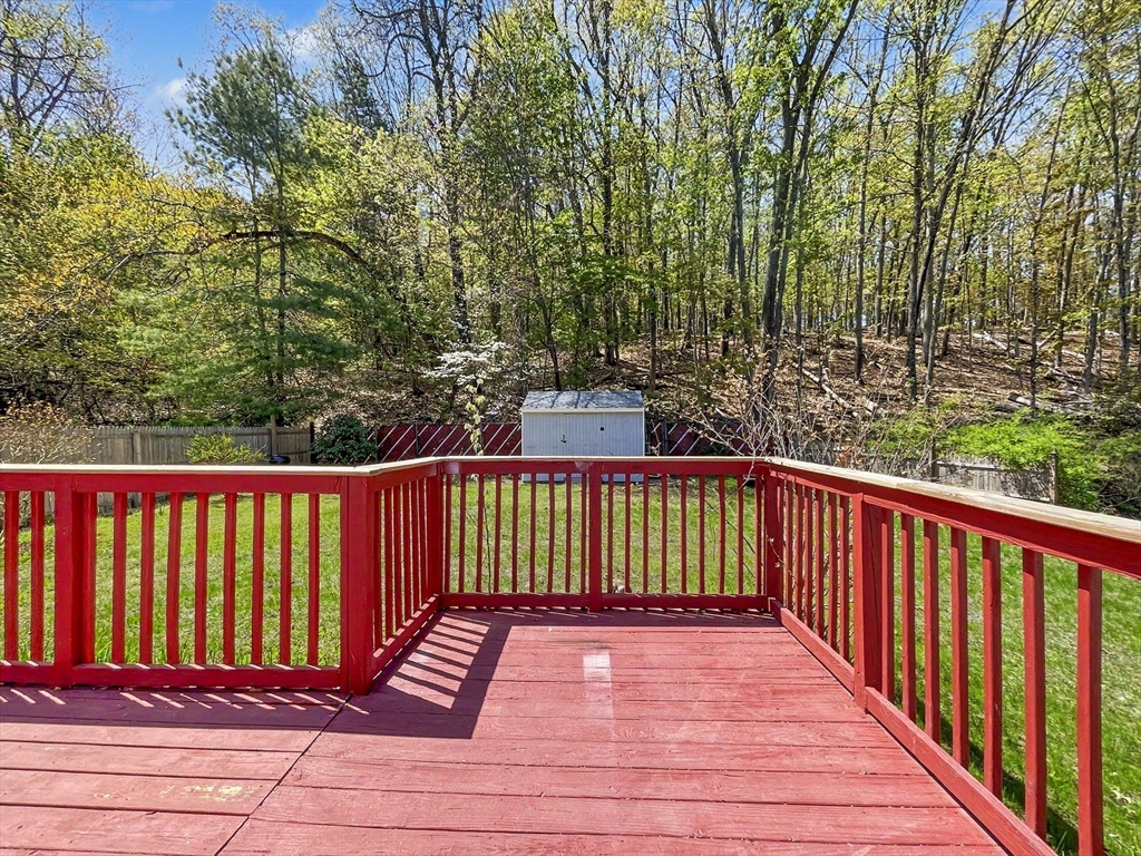 206 Treetop Avenue Springfield, MA 01118 - Photo 28 of 32