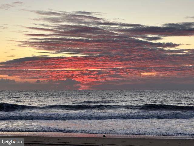 11604 Coastal Highway, Unit 1209 Ocean City, MD 21842 - Photo 19 of 20 a view of water heater and wooden floor