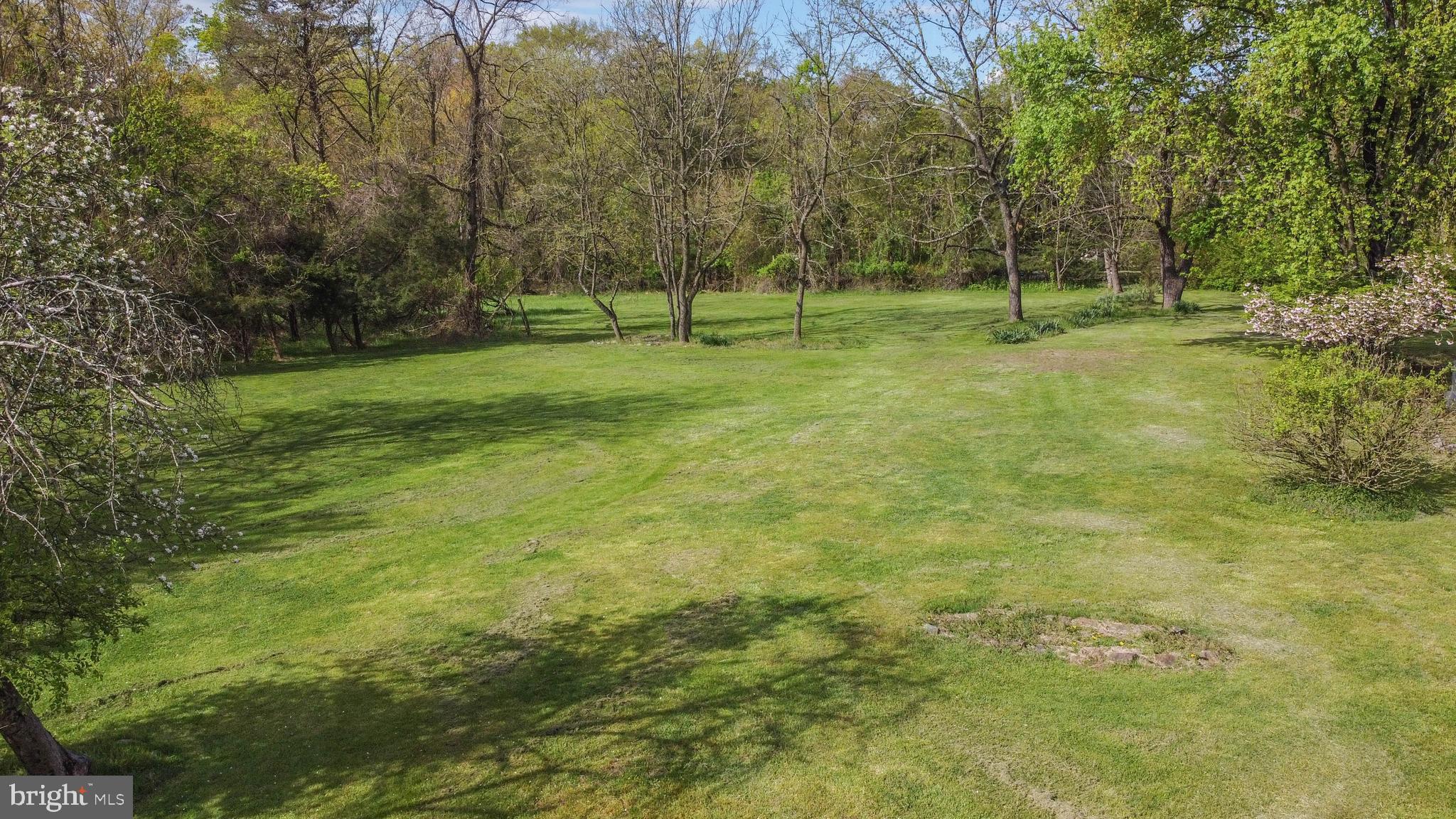 520 Bell Manor Road Conowingo, MD 21918 - Photo 9 of 55 Lawn