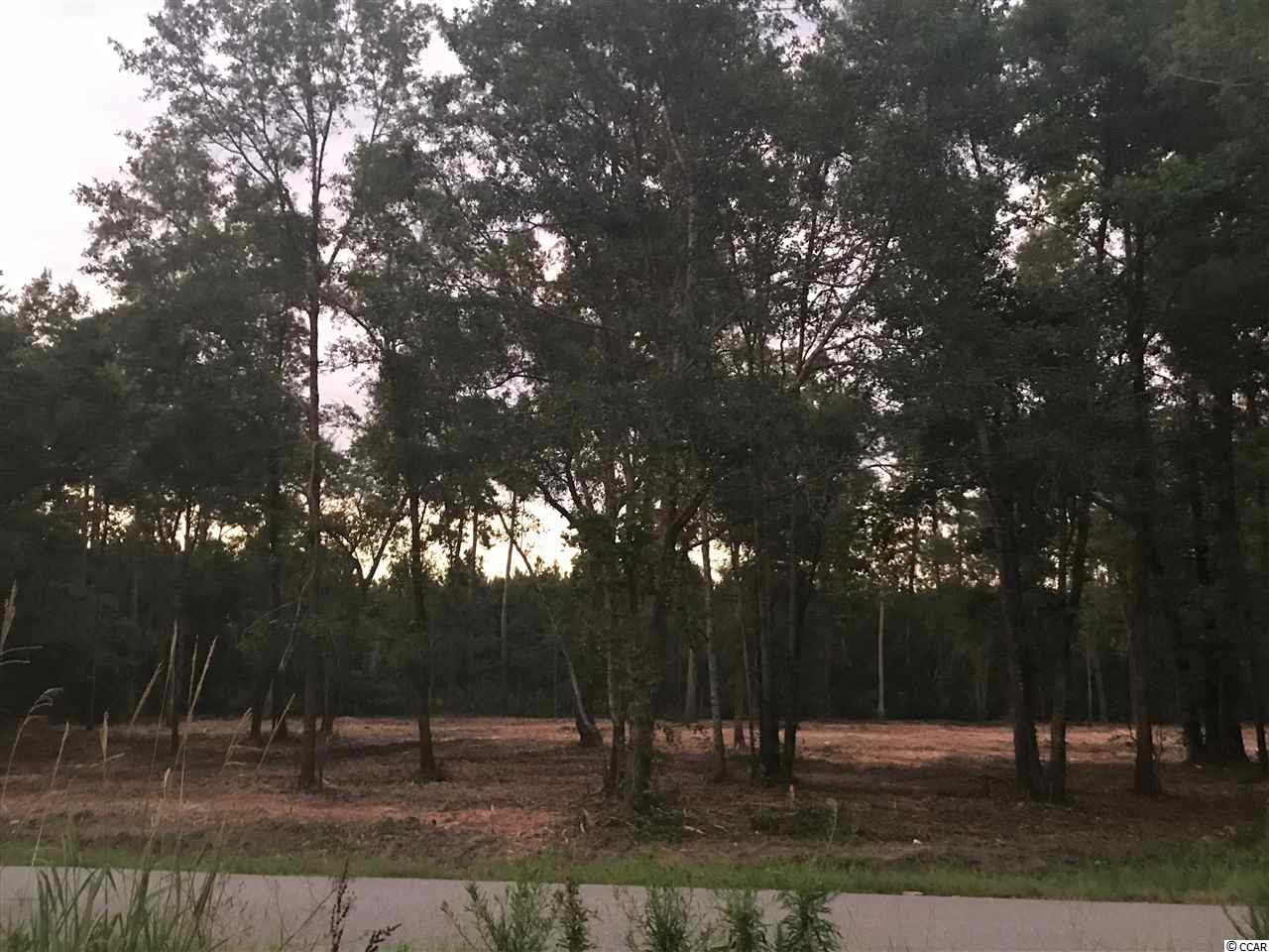 Lot 6 St-johns Road Aynor, SC 29544 - Photo 1 of 4 Gallery Image 1