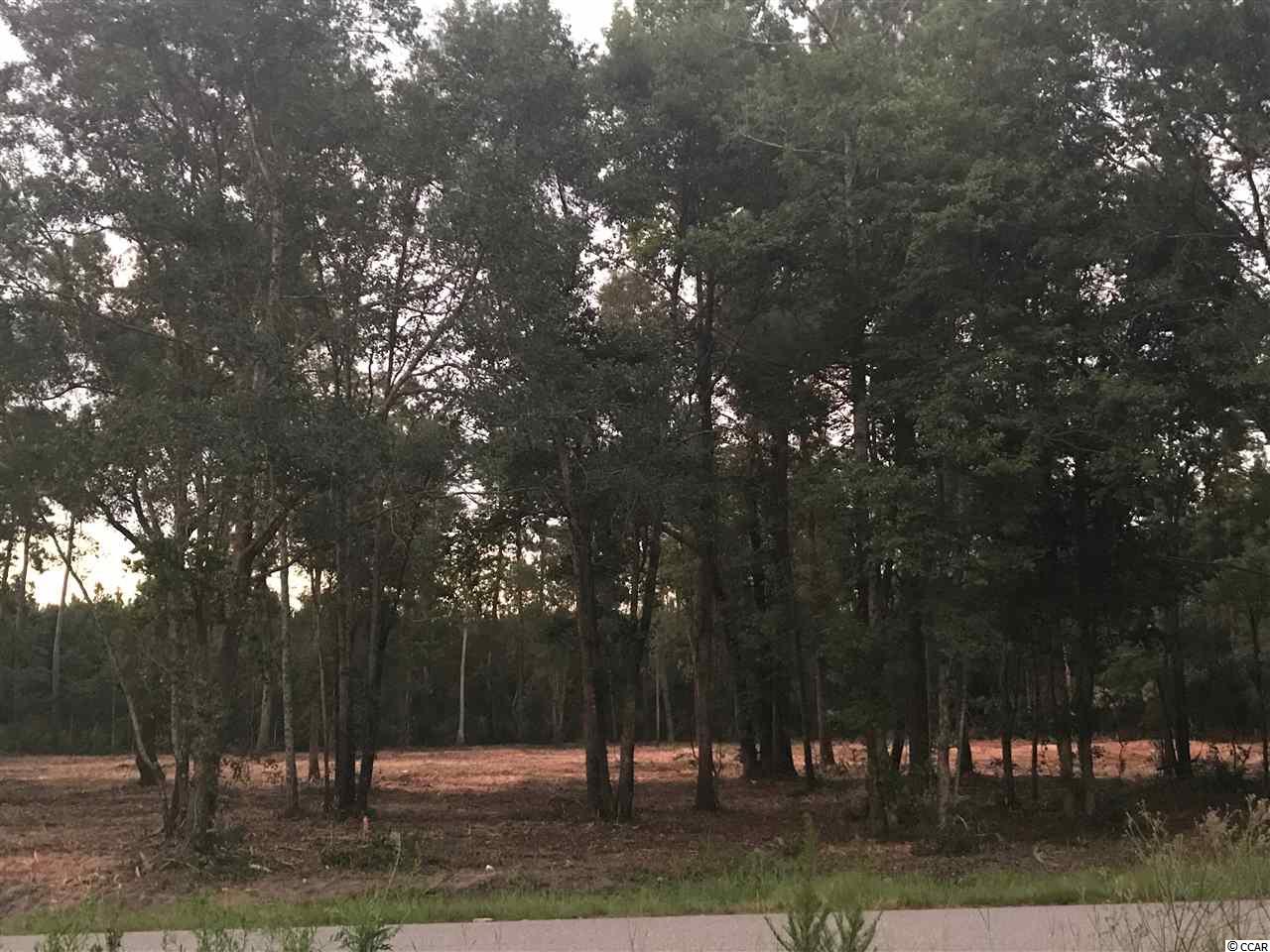 Lot 6 St-johns Road Aynor, SC 29544 - Photo 2 of 4 Gallery Image 2