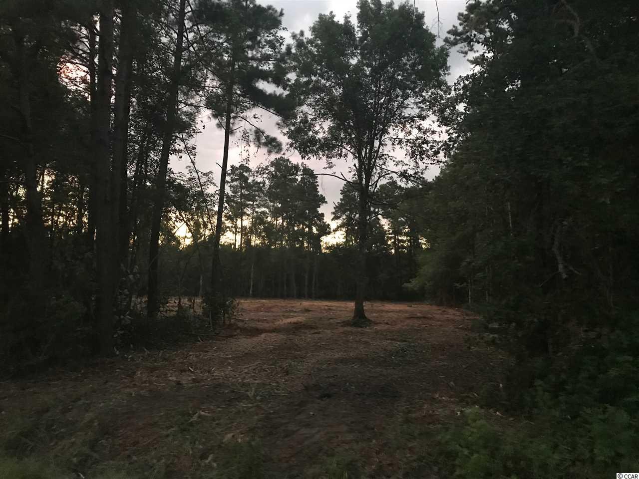 Lot 6 St-johns Road Aynor, SC 29544 - Photo 4 of 4 Gallery Image 4
