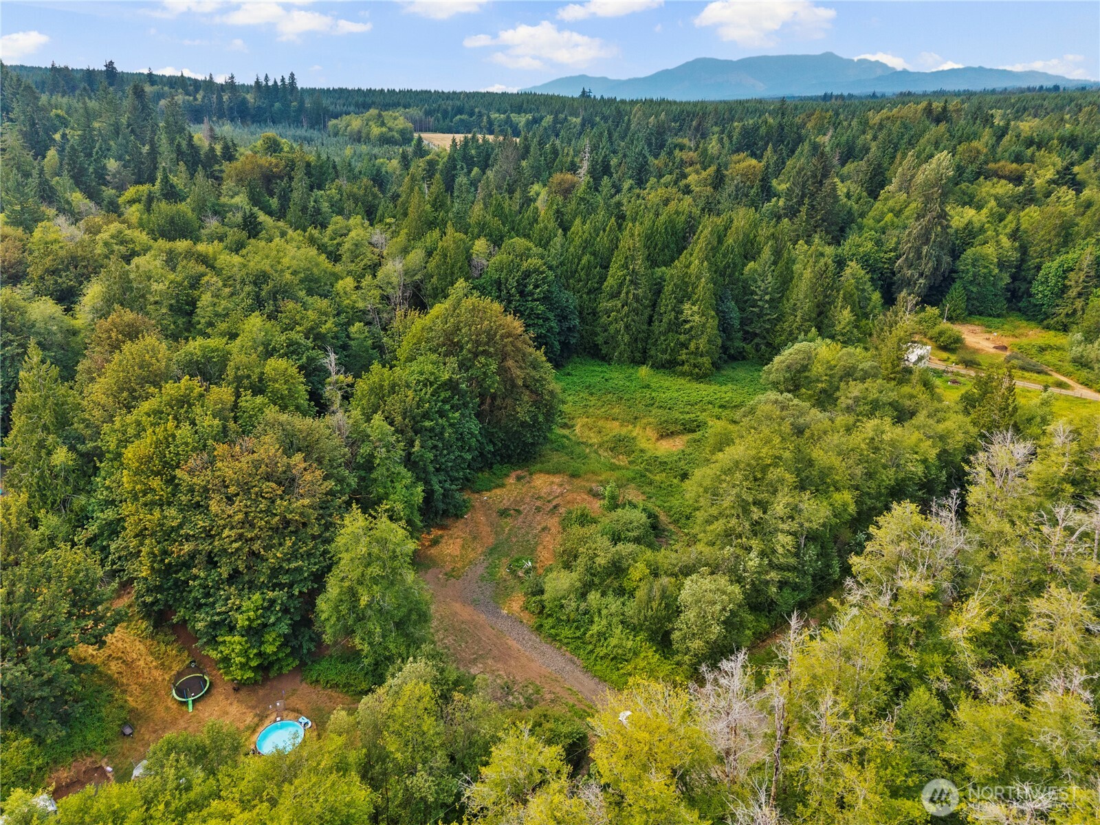 3211 West Little Egypt Road Shelton, WA 98584 - Photo 13 of 40 a view of a lush green forest with a lake and mountain view