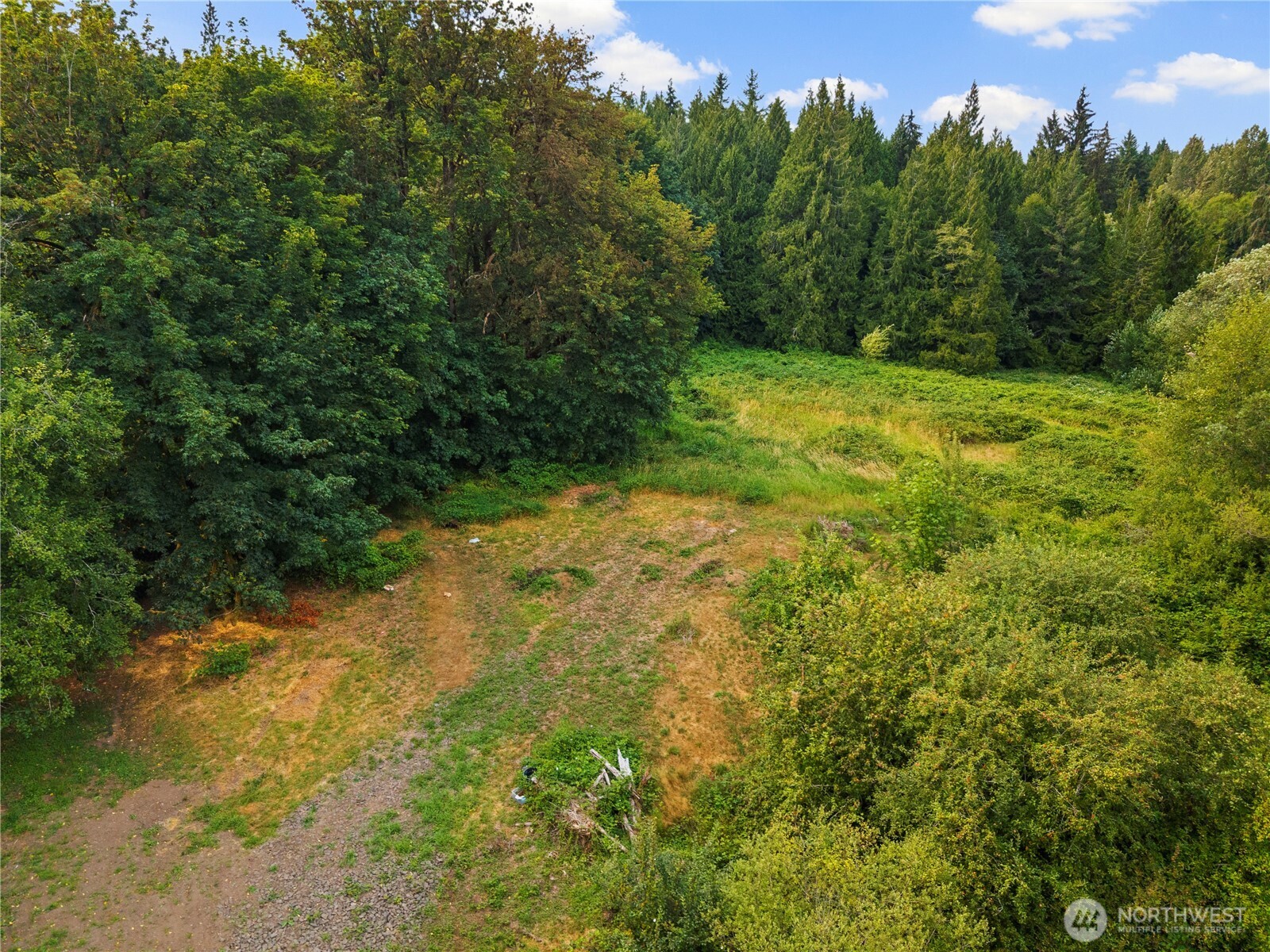 3211 West Little Egypt Road Shelton, WA 98584 - Photo 16 of 40 a view of a yard with a tree