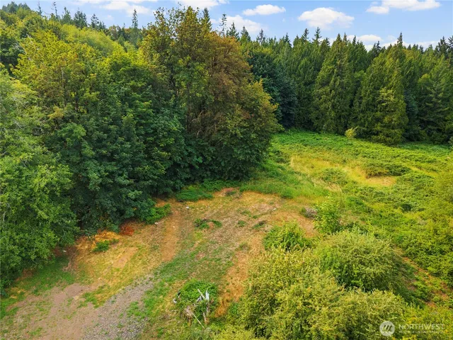 a view of a yard with a tree