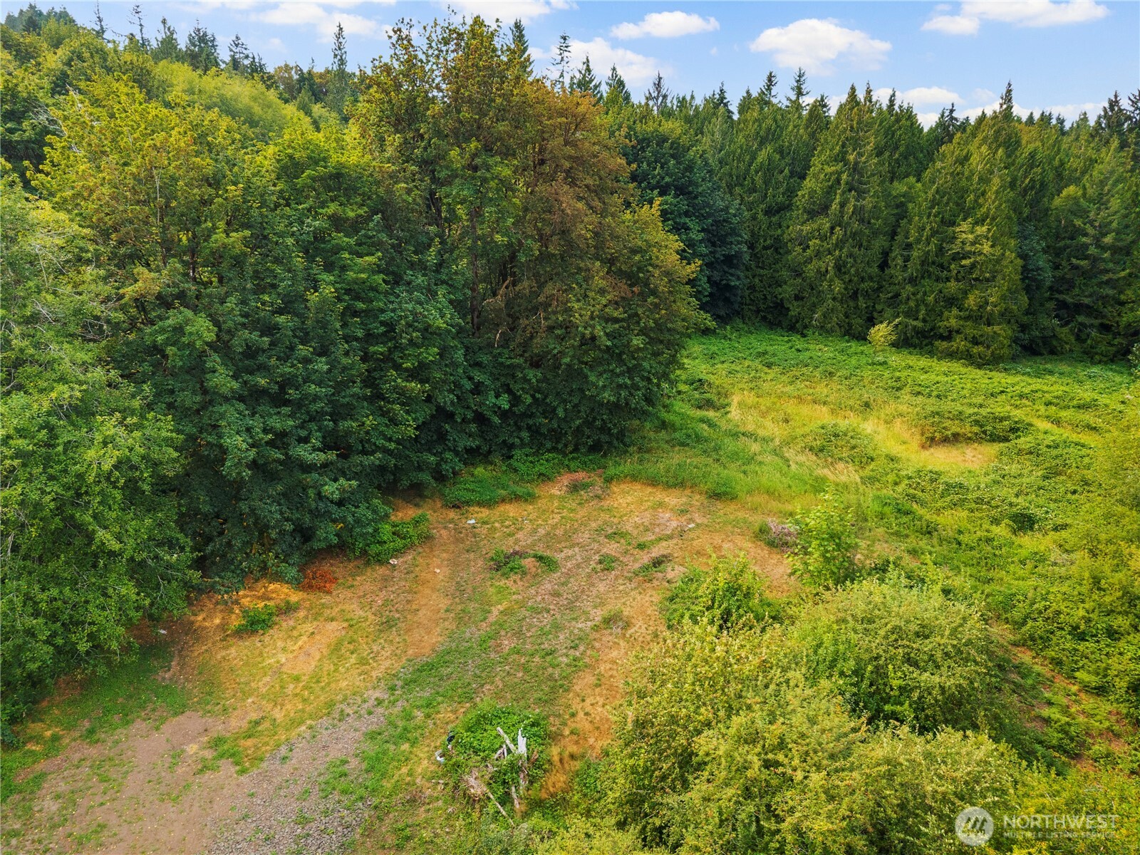 3211 West Little Egypt Road Shelton, WA 98584 - Photo 18 of 40 a view of a yard with a tree