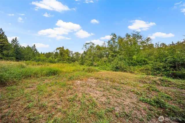 a view of a field with an ocean