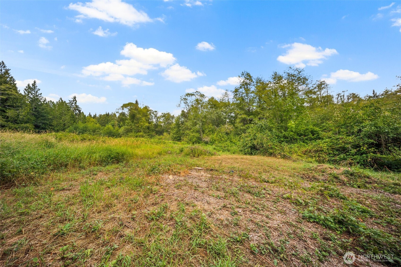 3211 West Little Egypt Road Shelton, WA 98584 - Photo 20 of 40 a view of a field with an ocean