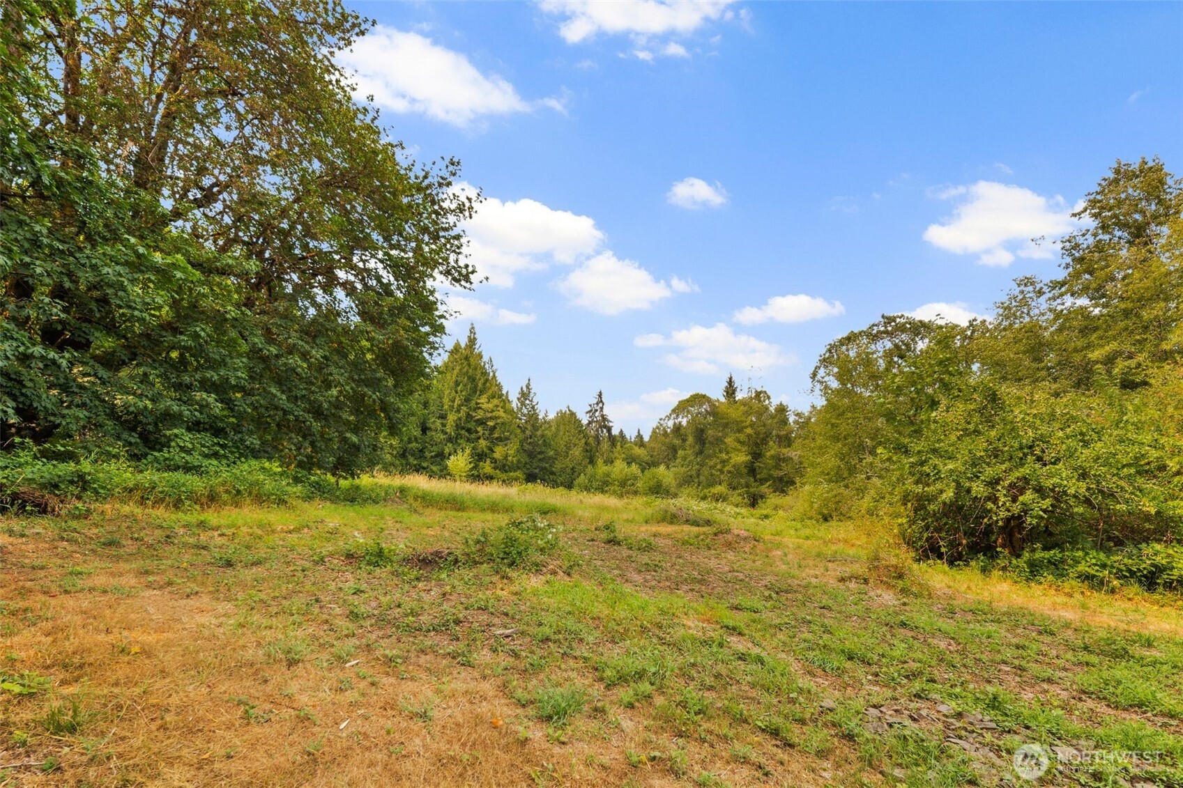3211 West Little Egypt Road Shelton, WA 98584 - Photo 22 of 40 a view of a big yard with large trees