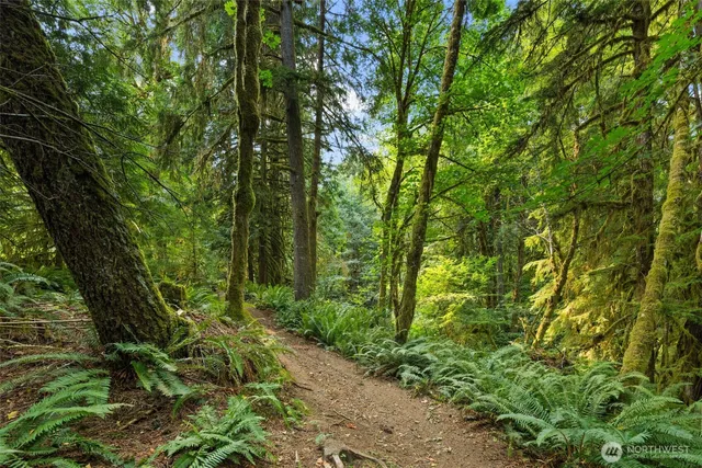 a backyard of a house with lots of green space