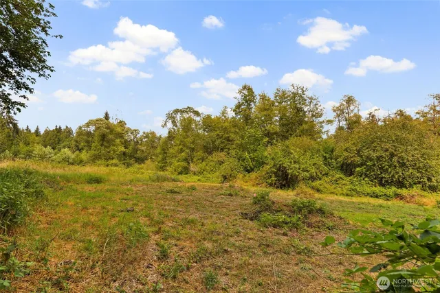 a view of a big yard with lots of bushes