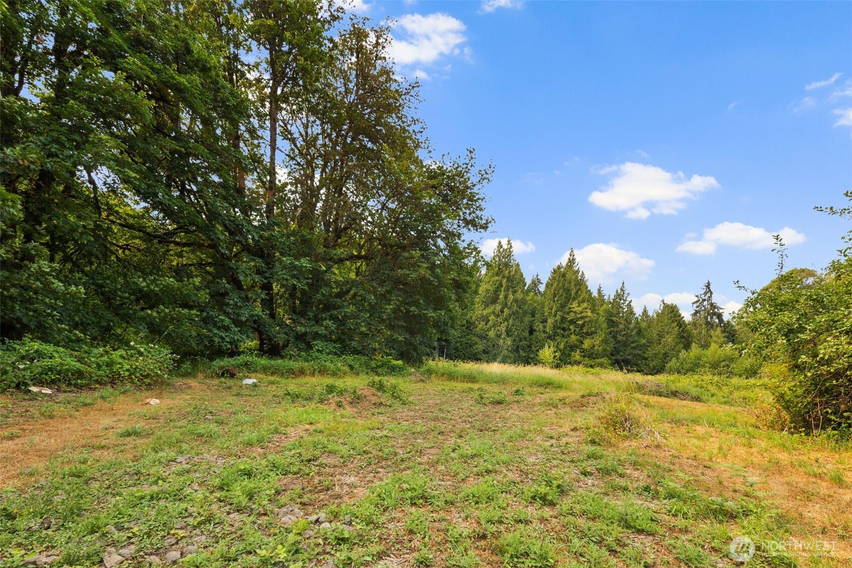 3211 West Little Egypt Road Shelton, WA 98584 - Photo 27 of 40 a view of outdoor space and yard
